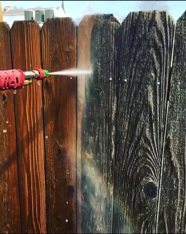 Fence Cleaning/Staining